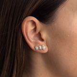 Diamond Paloma Climber