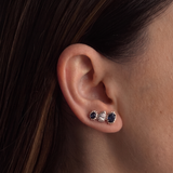 Sapphire Paloma Climber