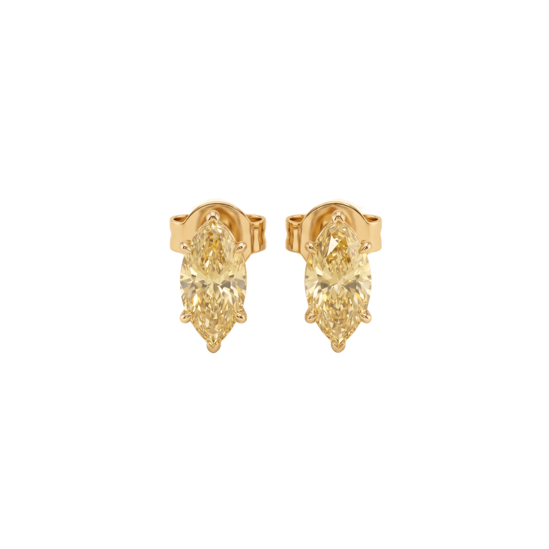Luce Marquise
