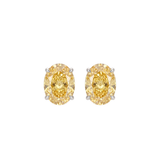 Luce Oval  Stud 1 &2 Carat