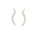 Celeste Curve Earrings